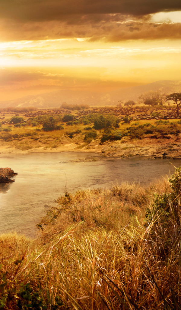 Far Cry 2 компьютерная игра