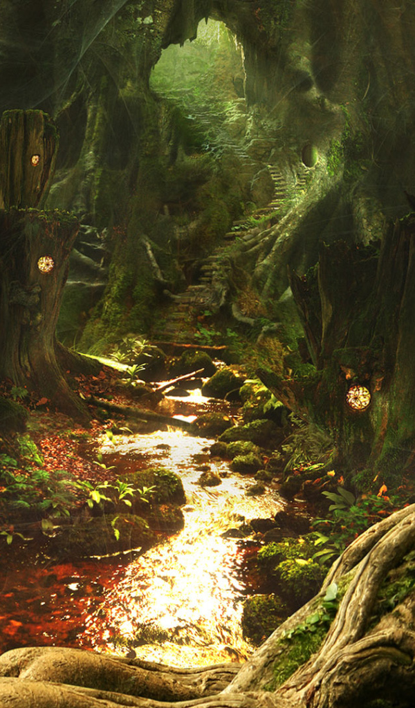 Выход из Леса