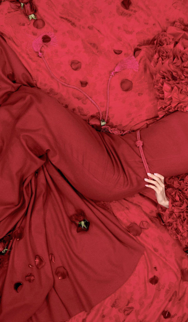 Красная роза