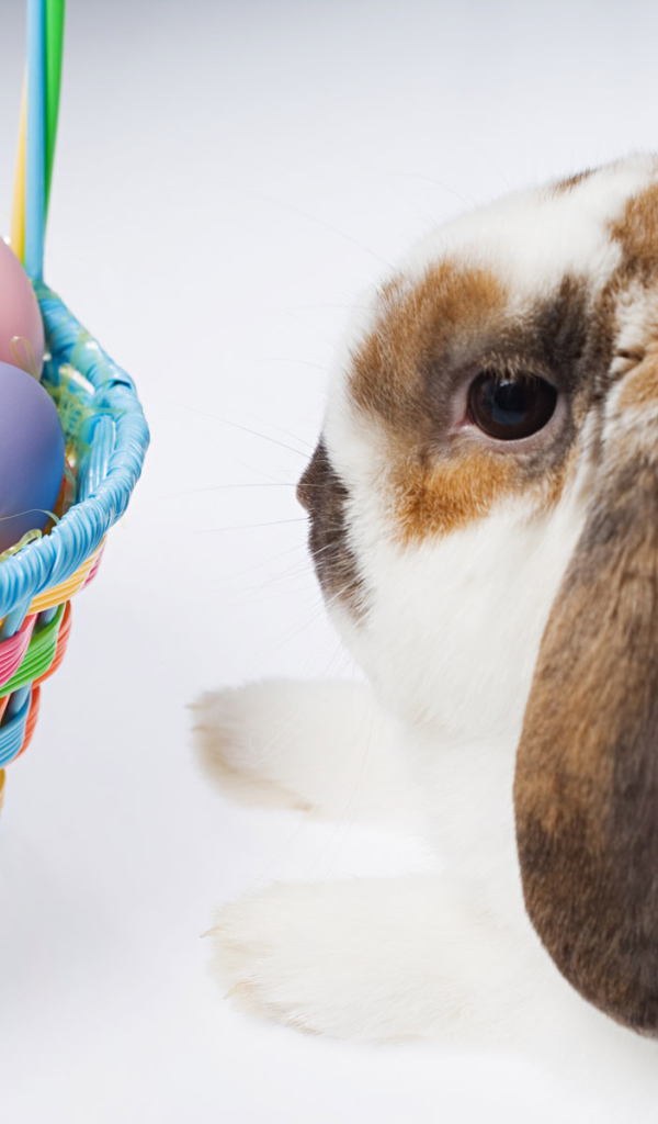 Пасхальный кролик