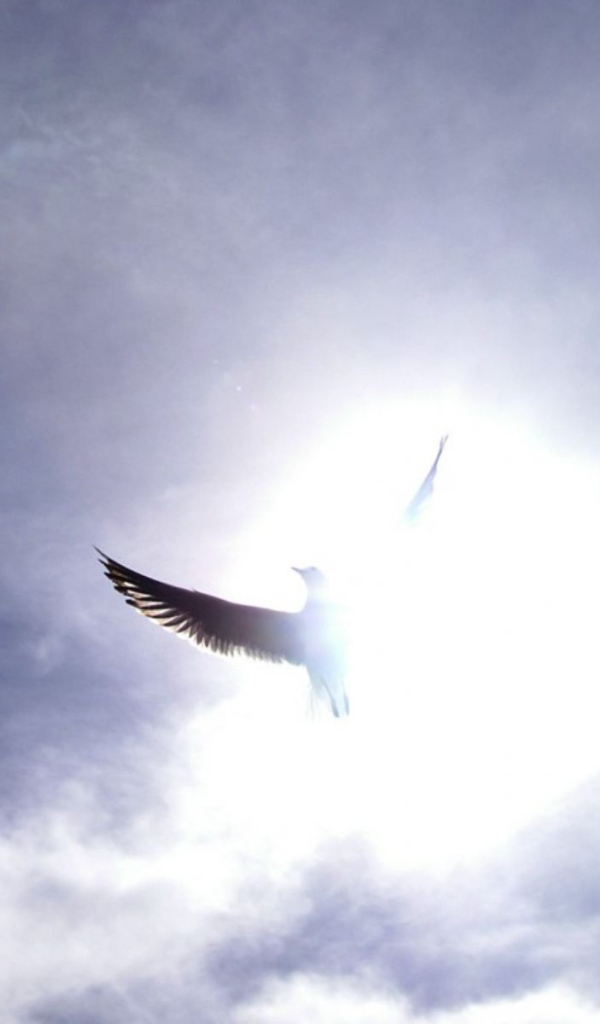 Праздничный день