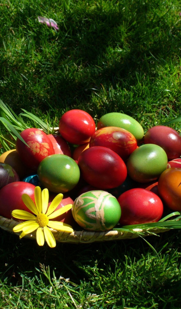Крашеные Пасхальные яйца