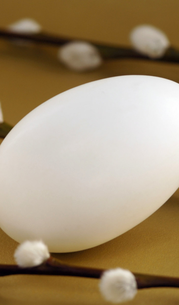 Вербное воскресенье и Пасха