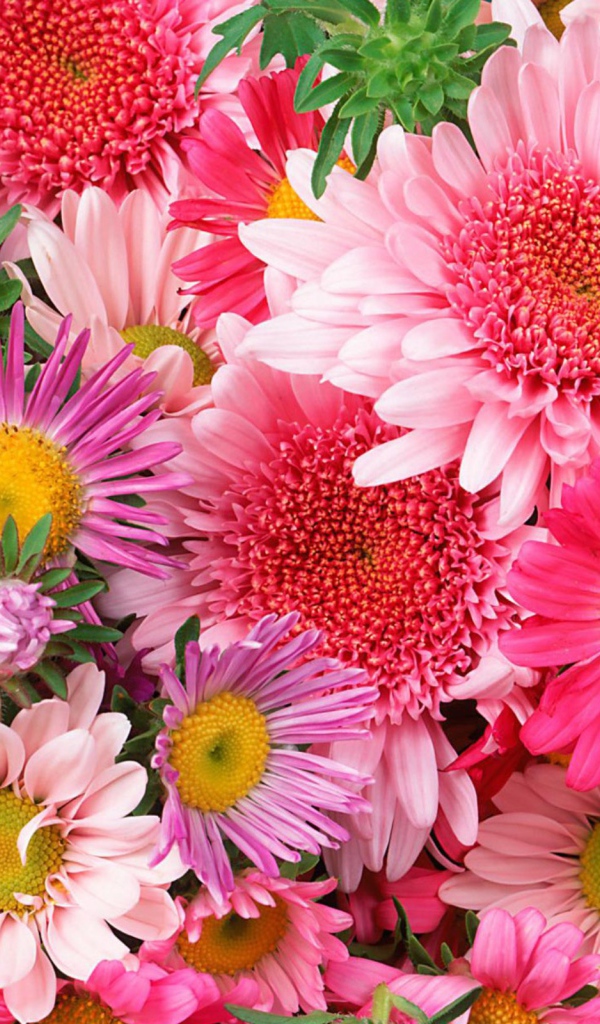 Красивые цветы на 8 марта