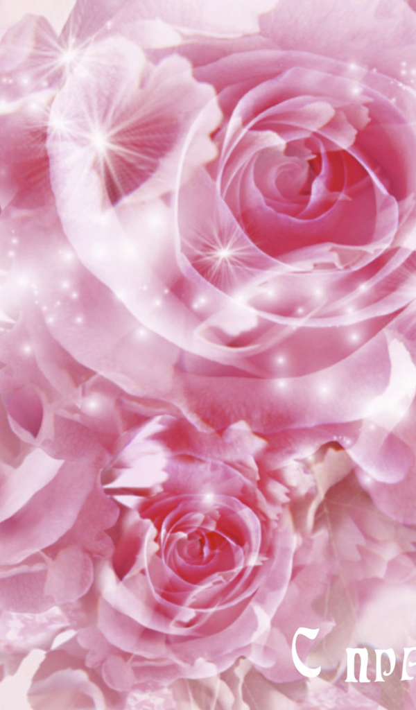 Поздравления для любимых дам