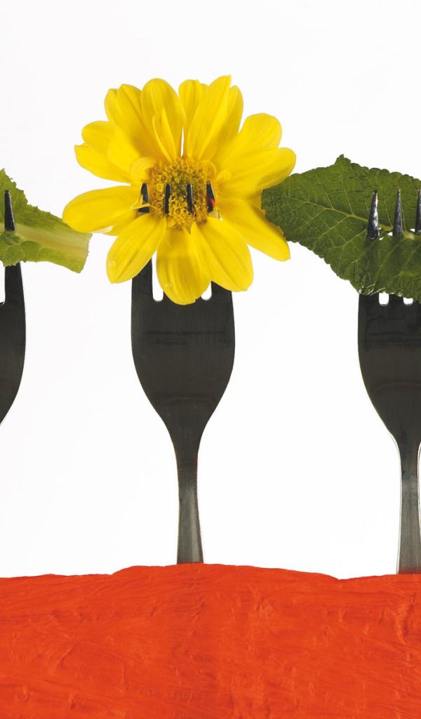 Креативный букет