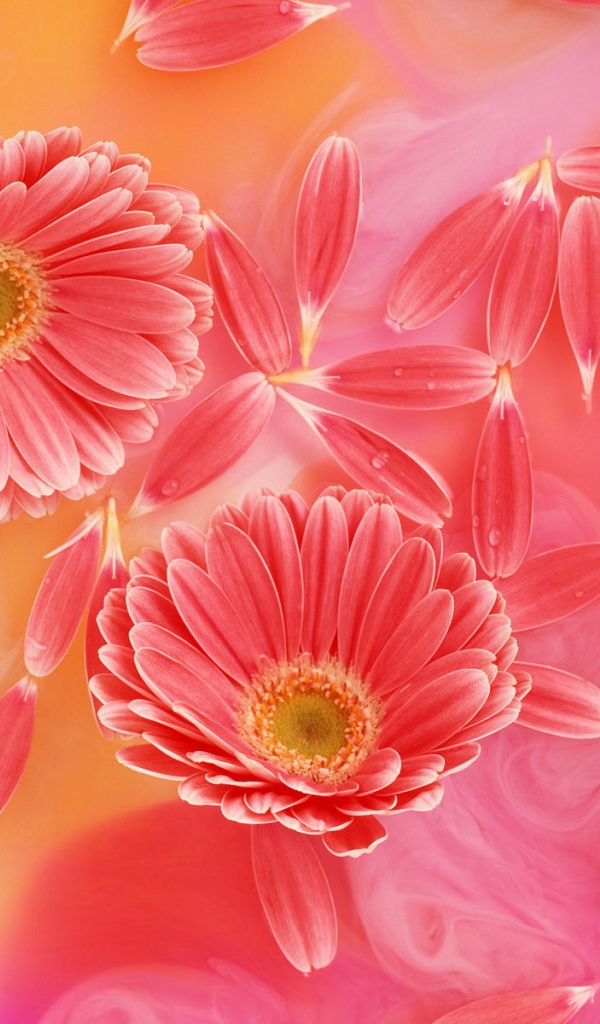 Любимый праздник женщин