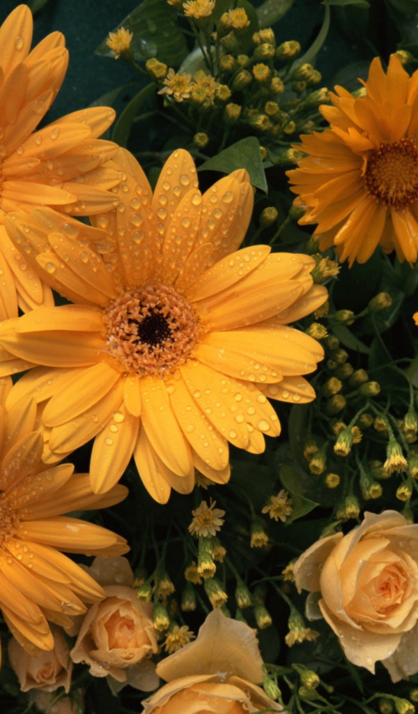 Цветы любимой женщине