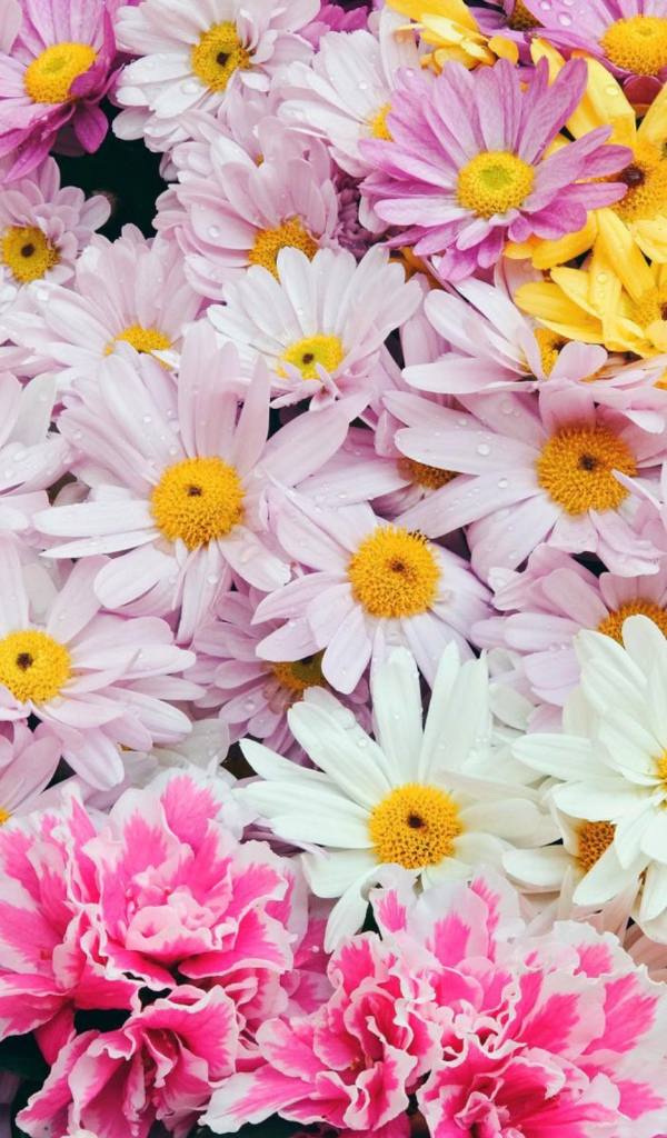 Цветы дорогим женщинам