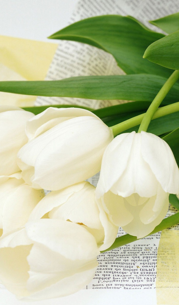 Цветы для самой желанной