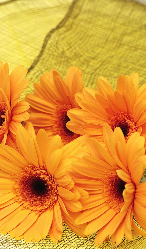 Цветы для самой красивой