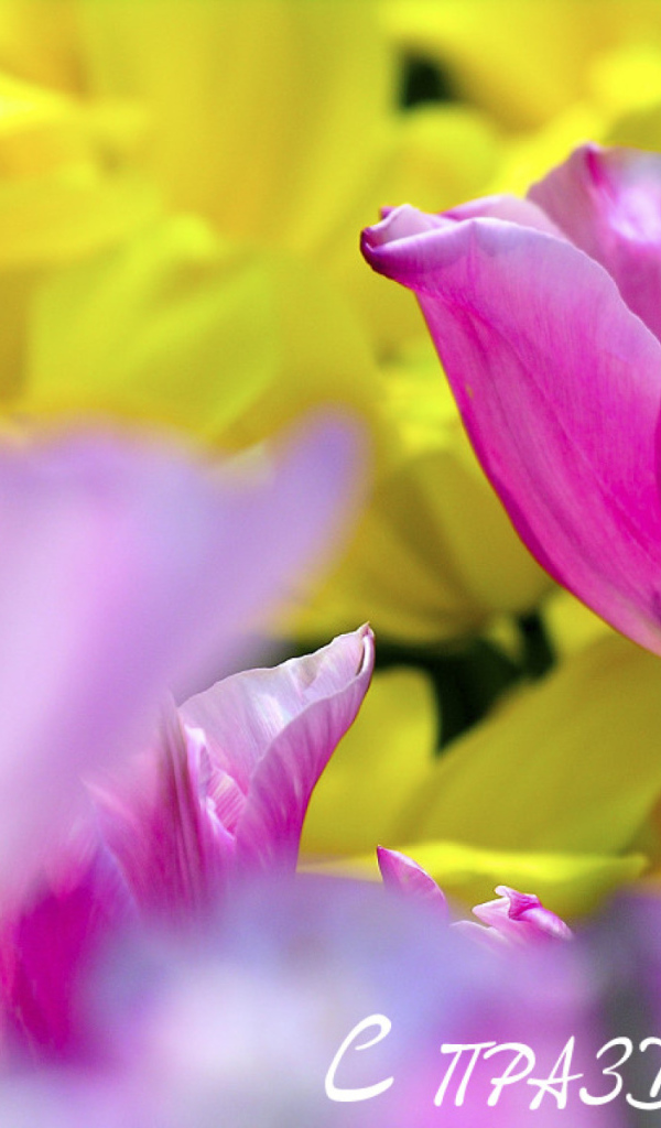 С Женским днем!