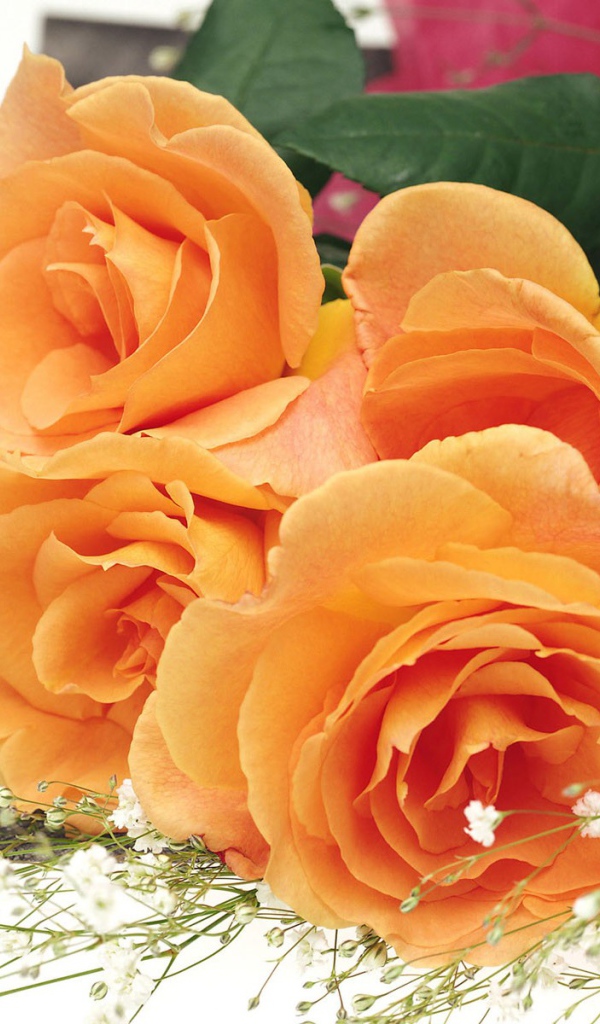 Подарок женщинам красавицам