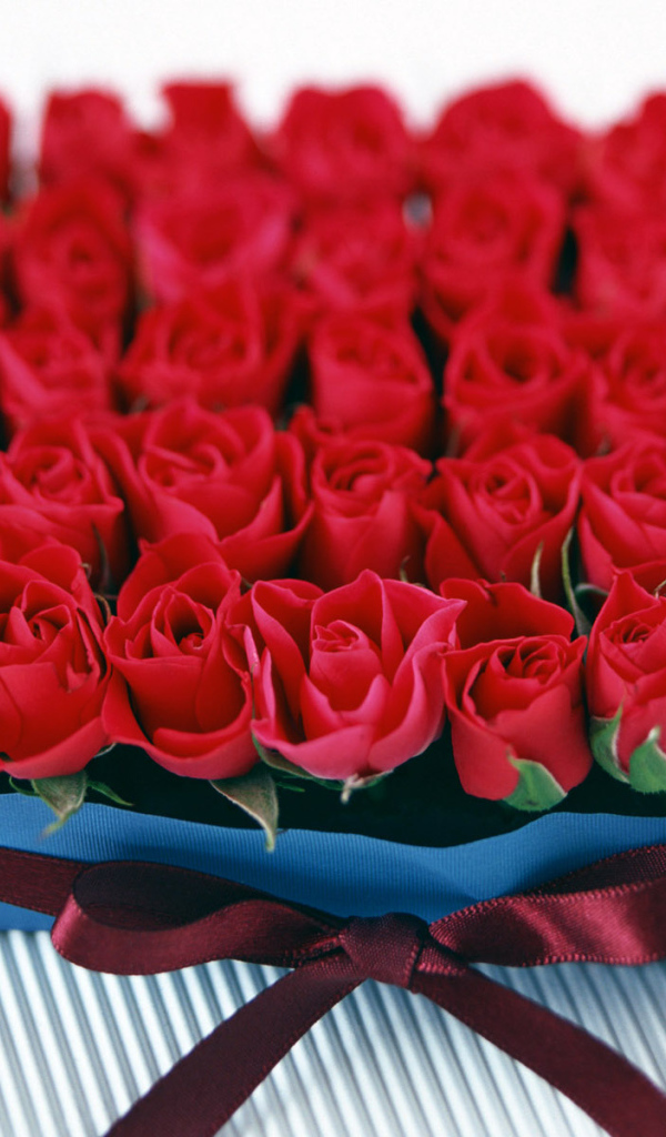 Розы в подарок на 8 марта
