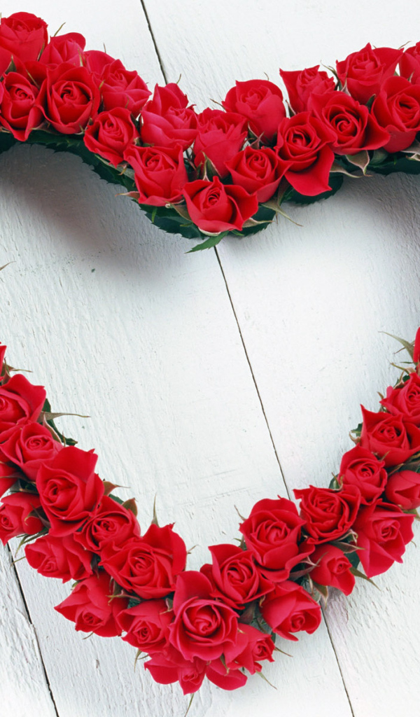 Красивые красные розы День Святого Валентина