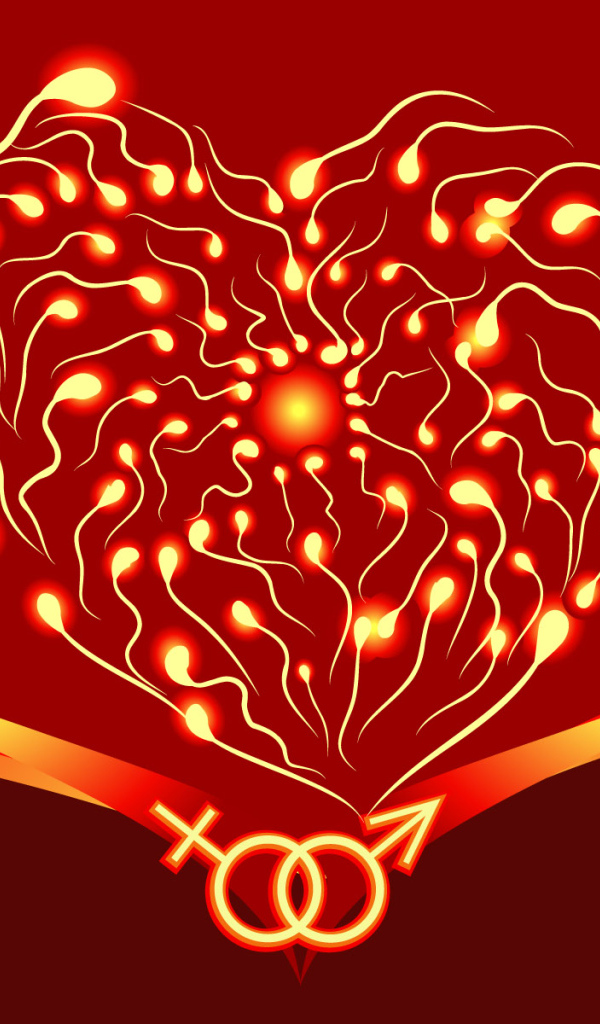 Два начала на День Влюбленных