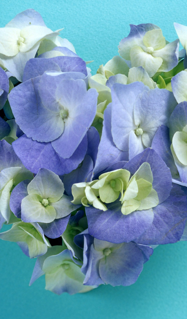 Сердечко из цветов