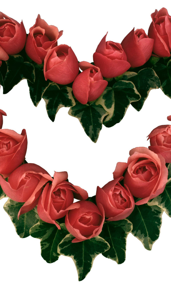 Сердце из роз