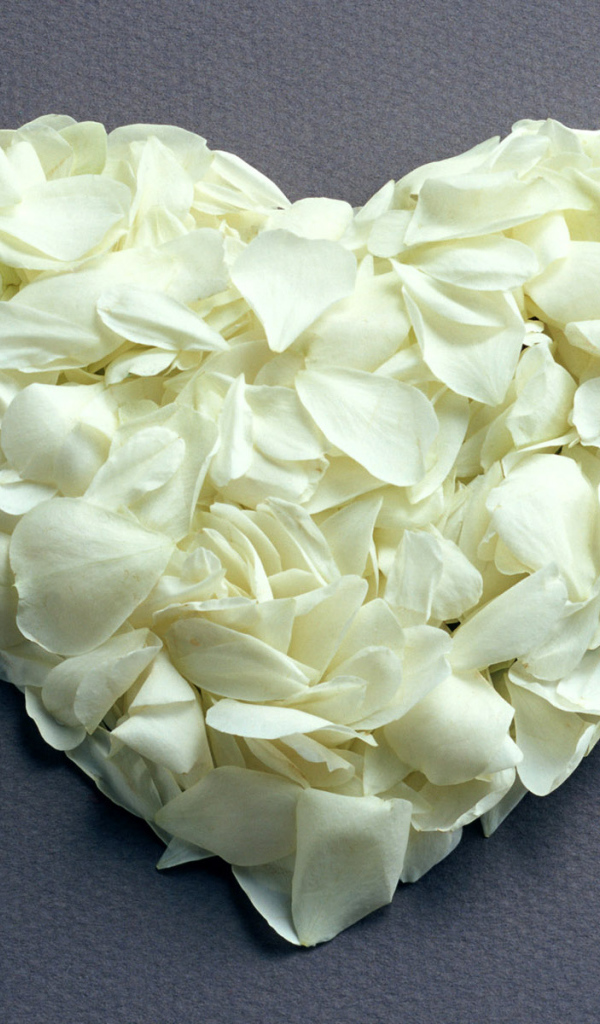 Сердечко из белых лепестков