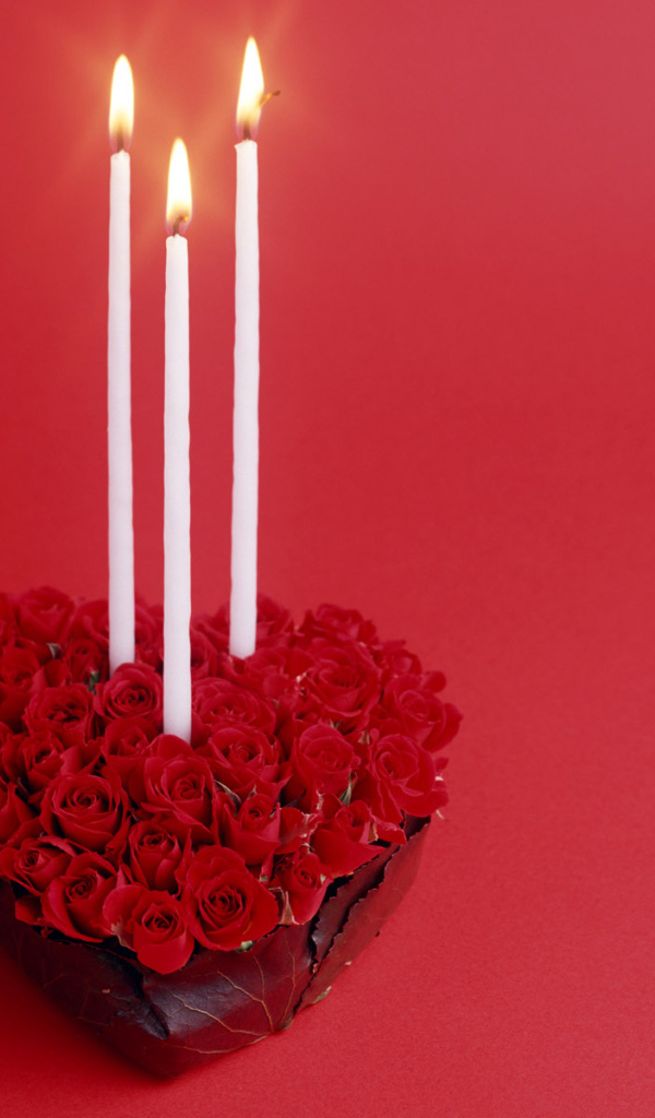 Красные розы в День Святого Валентина