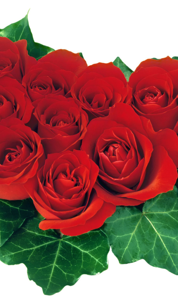 Розовое сердечко