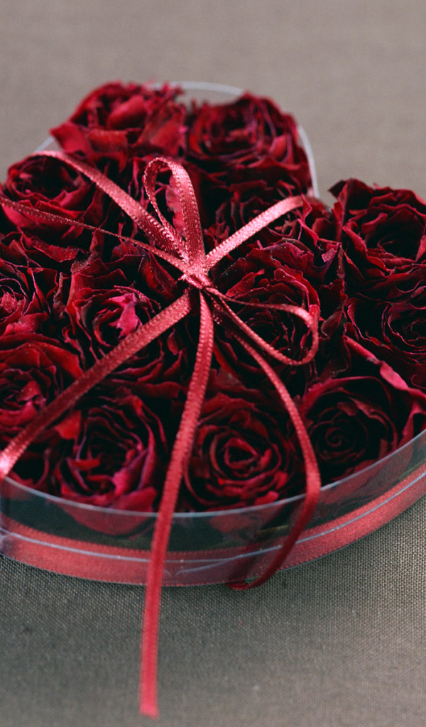 Розы на День всех влюбленных