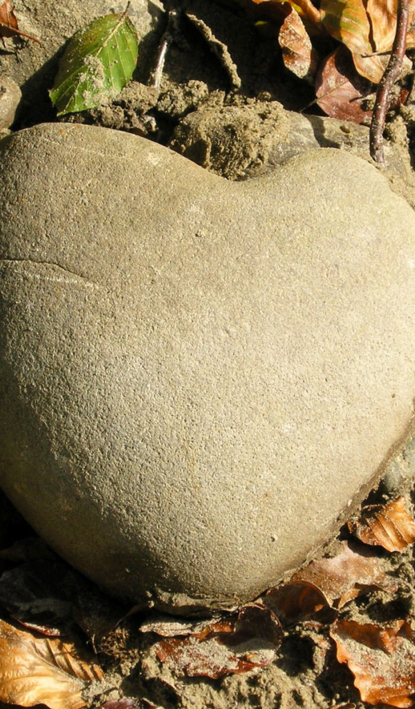 Каменное сердце