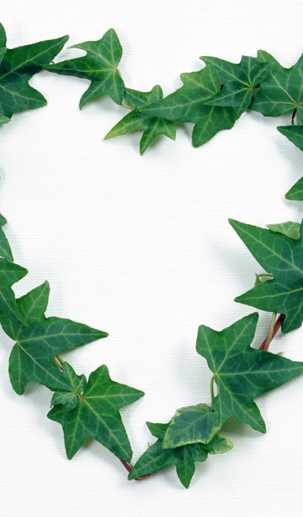 Сердце из листьев