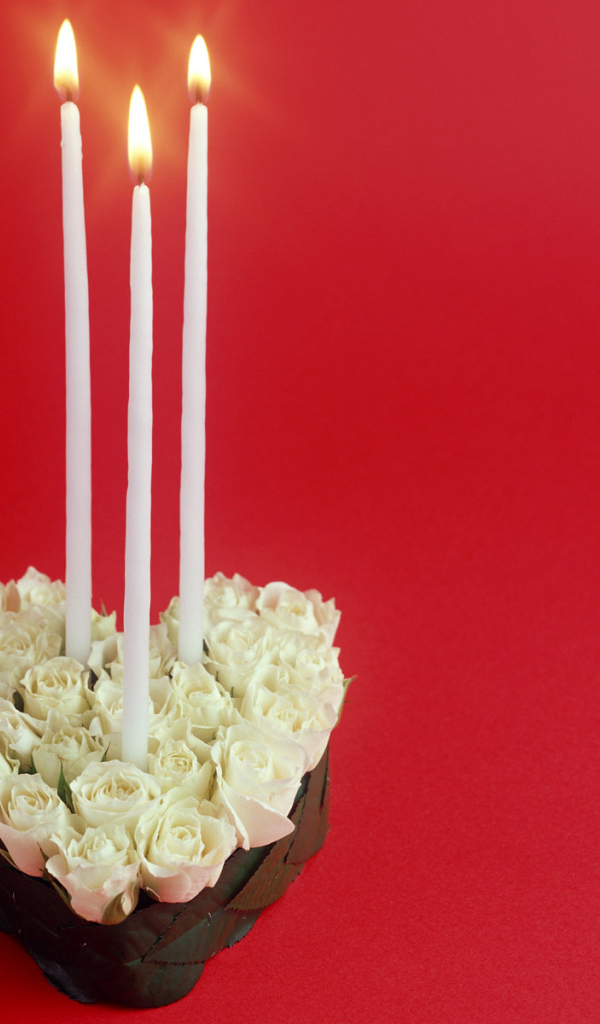 Белые розы в День Святого Валентина