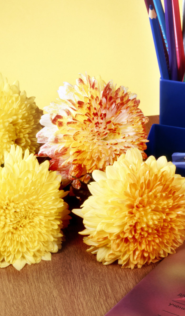 Снова за парту