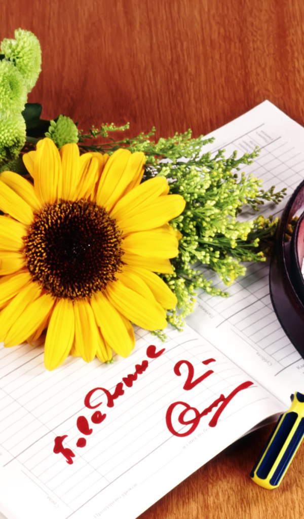 Ремень за двойку