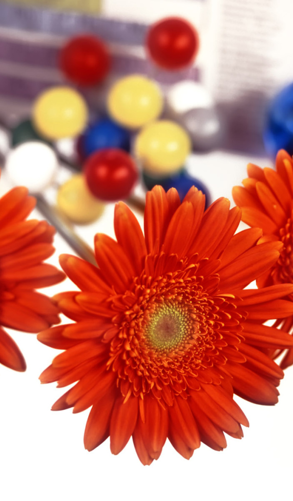 Первый день учебы