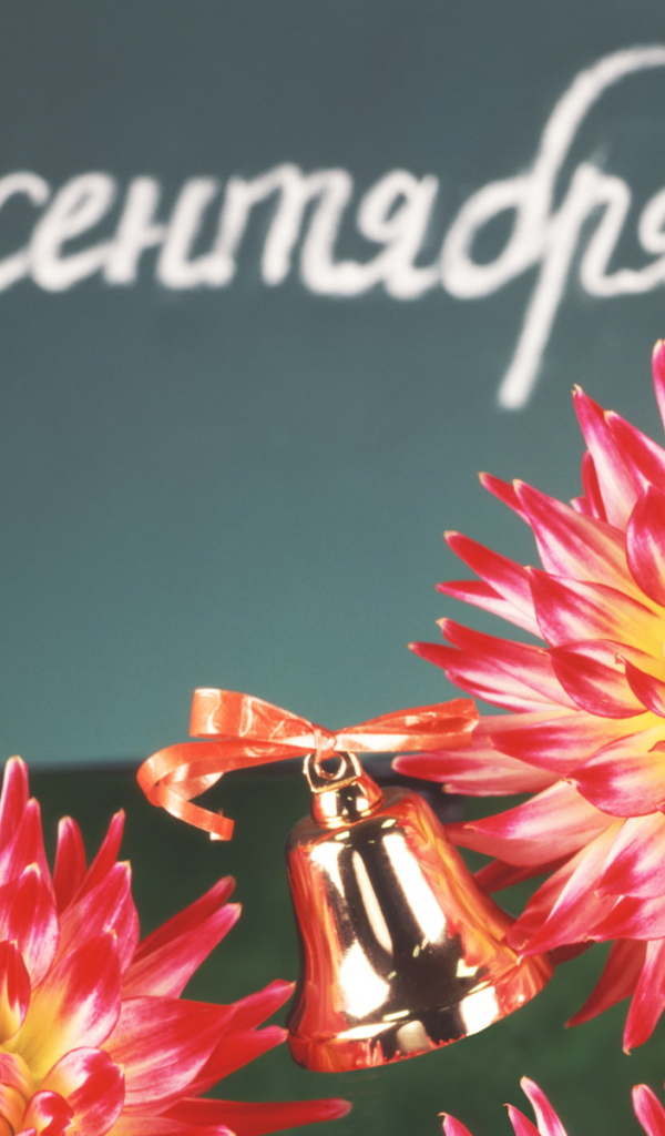 День знаний