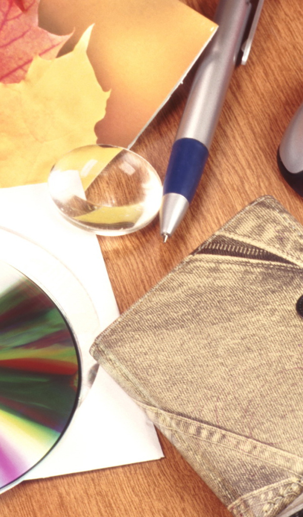 Школьная пора