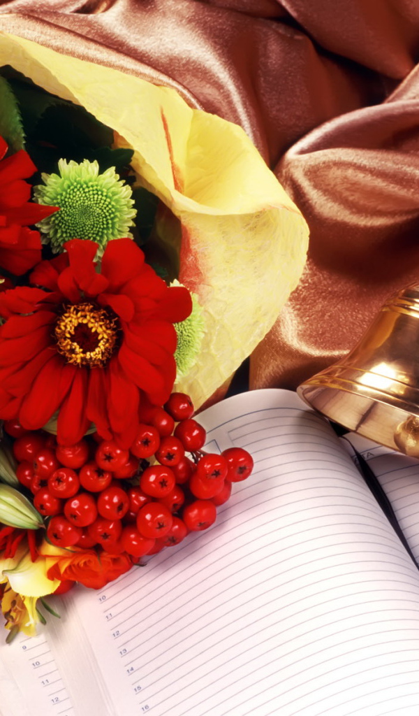 Начало обучения