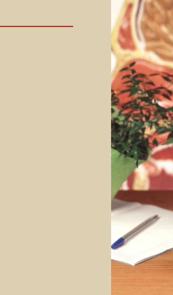 Начало учебного года