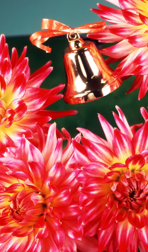 Цветы учителю