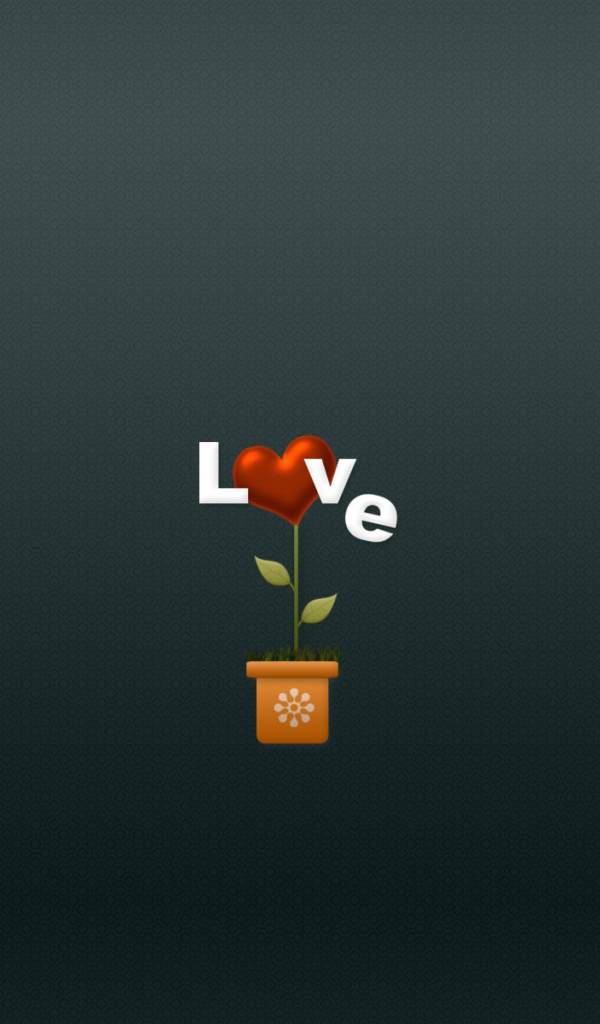 Цветок любви