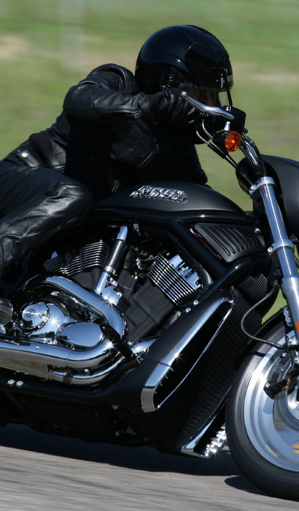 Harley Davidson черный гонщик