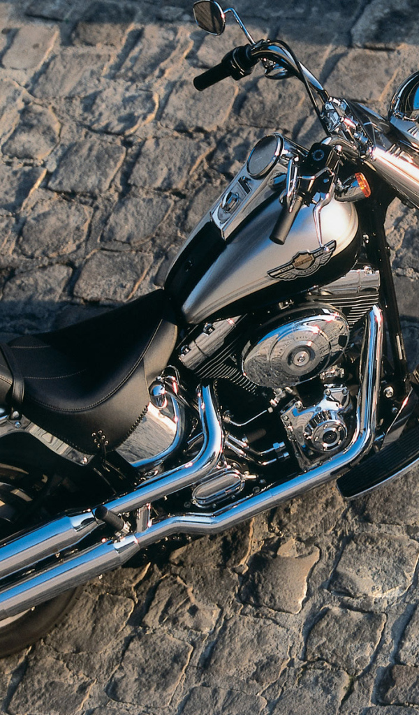 Harley Davidson каменная дорога