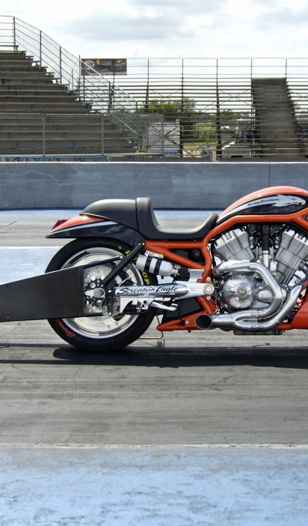 Harley Davidson драгрэйсинг