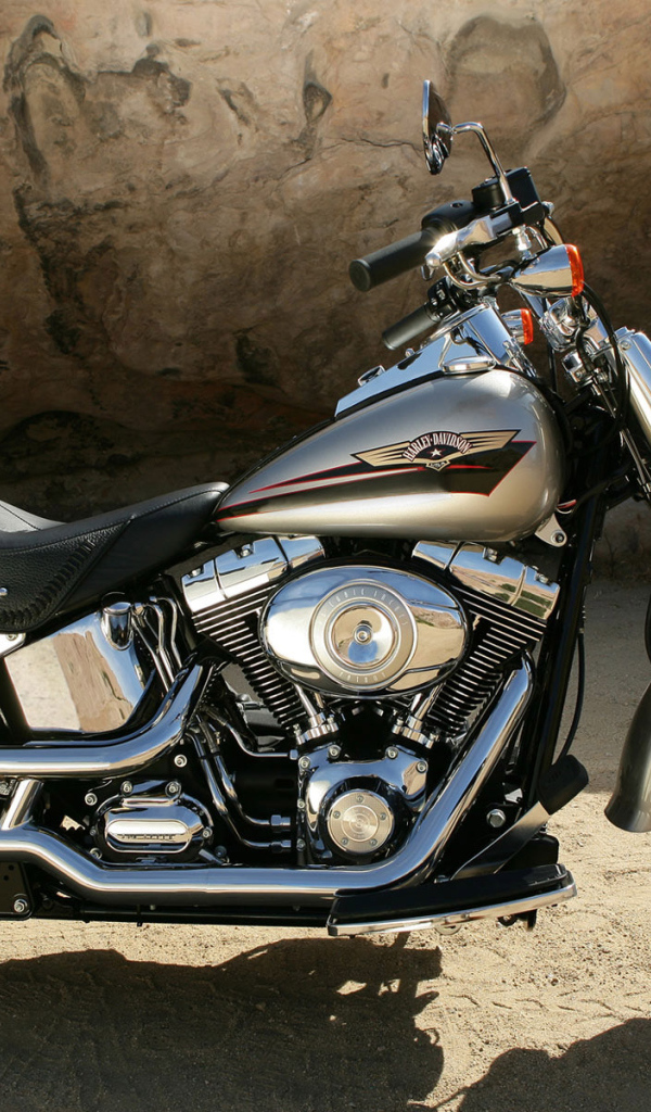 Harley Davidson two-friend