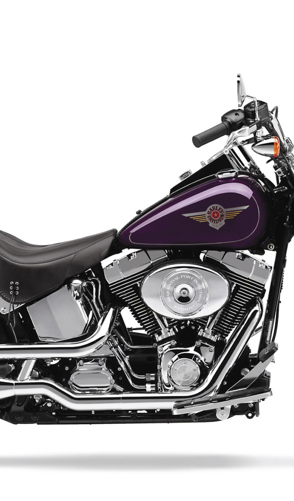 Фиолетовый Харлей