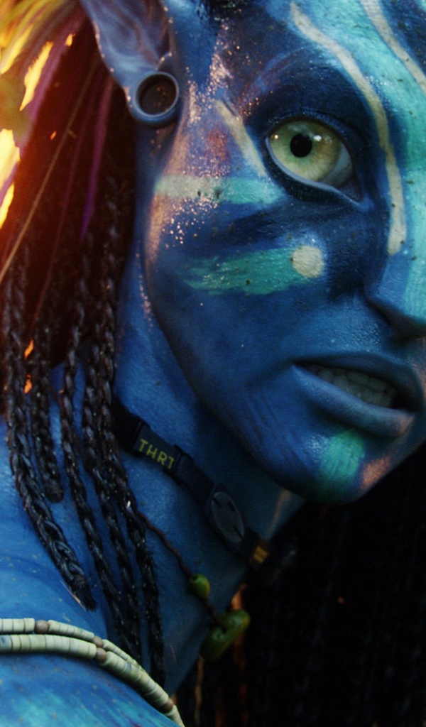 Аватар фильм 2009