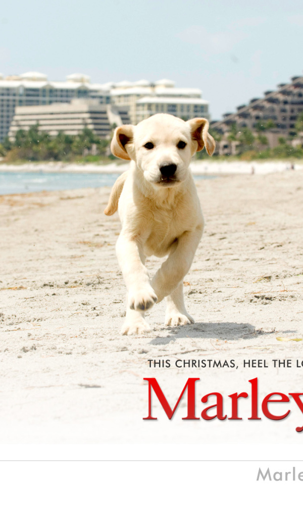 Марли и я / Marley & Me рождественская комедия