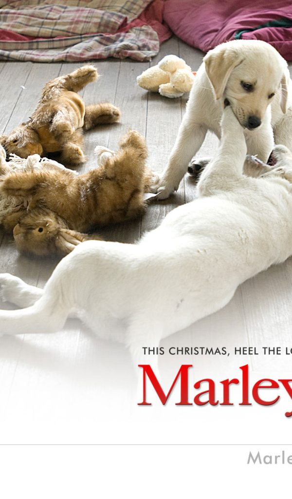 Марли и я / Marley & Me фильм