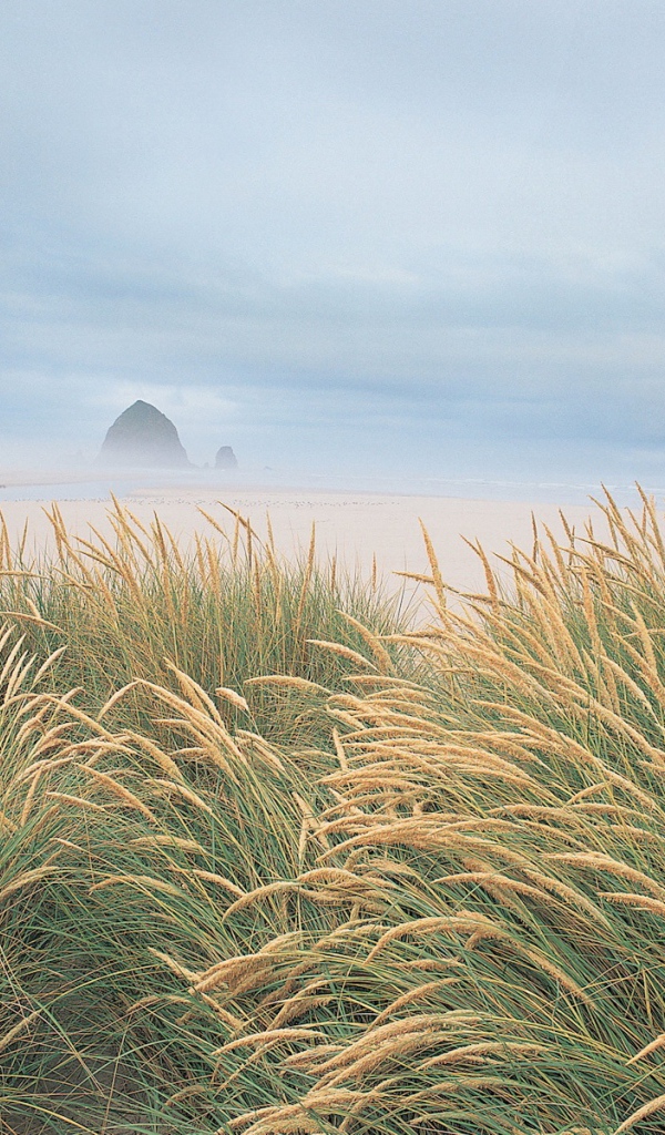 На берегу моря