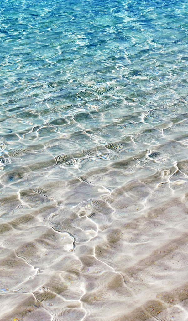 На берегу моря