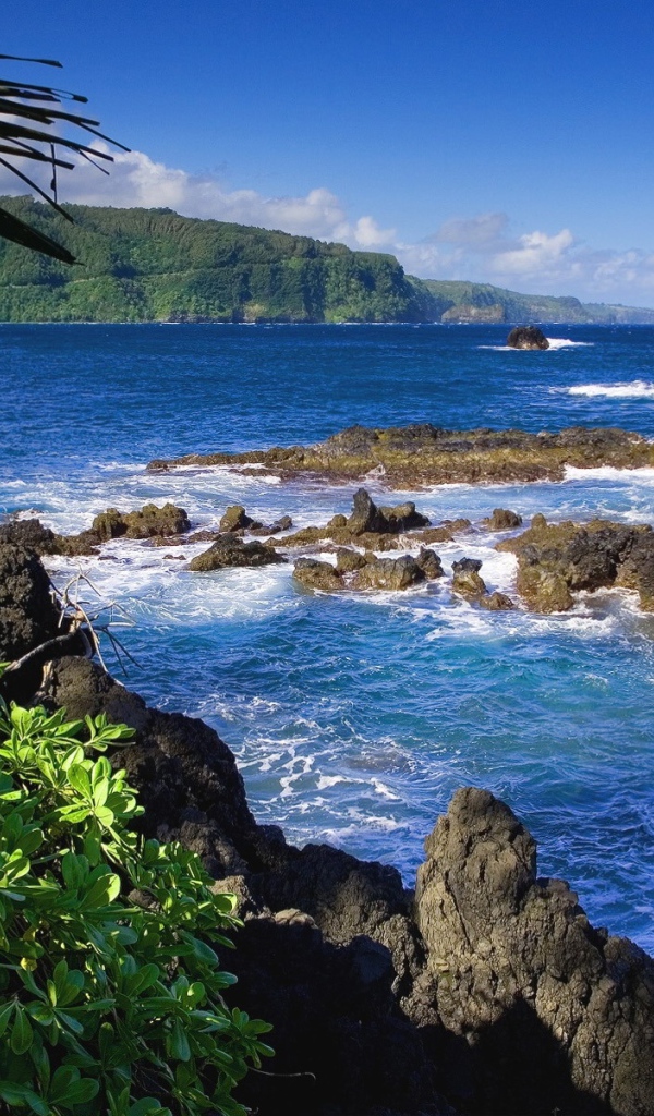 Райский залив