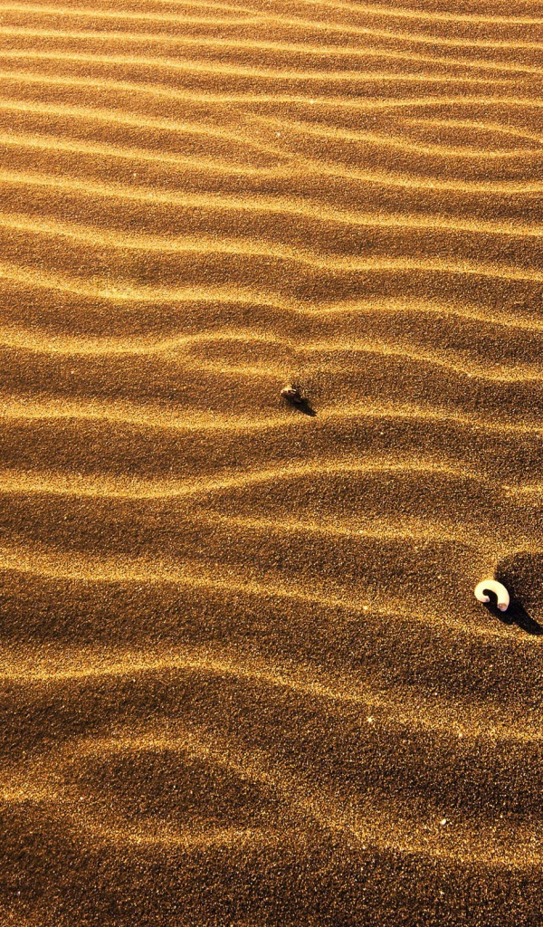 Пляжный песок